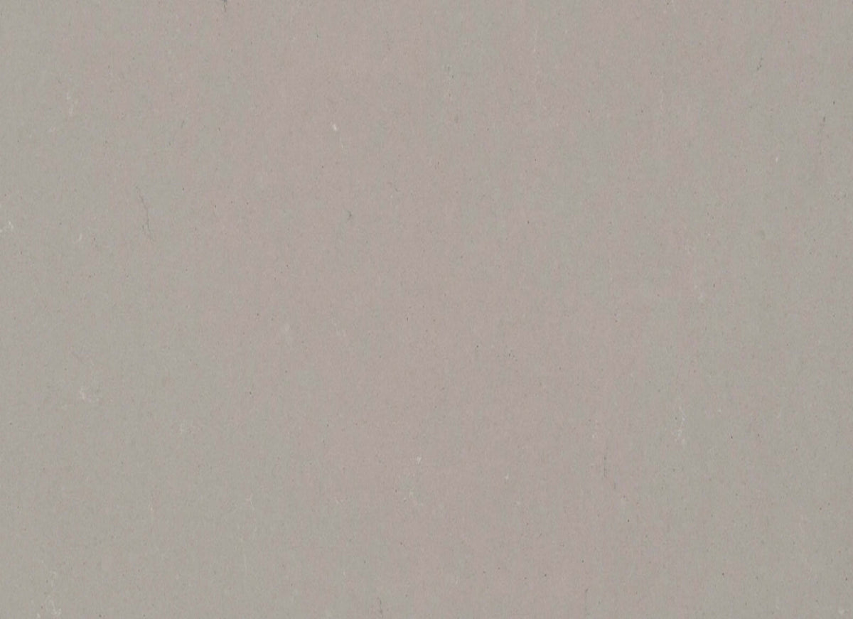 Quartz Countertop in Raw Concrete