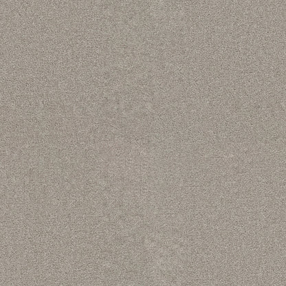 Star Struck in Silver Lining Carpet