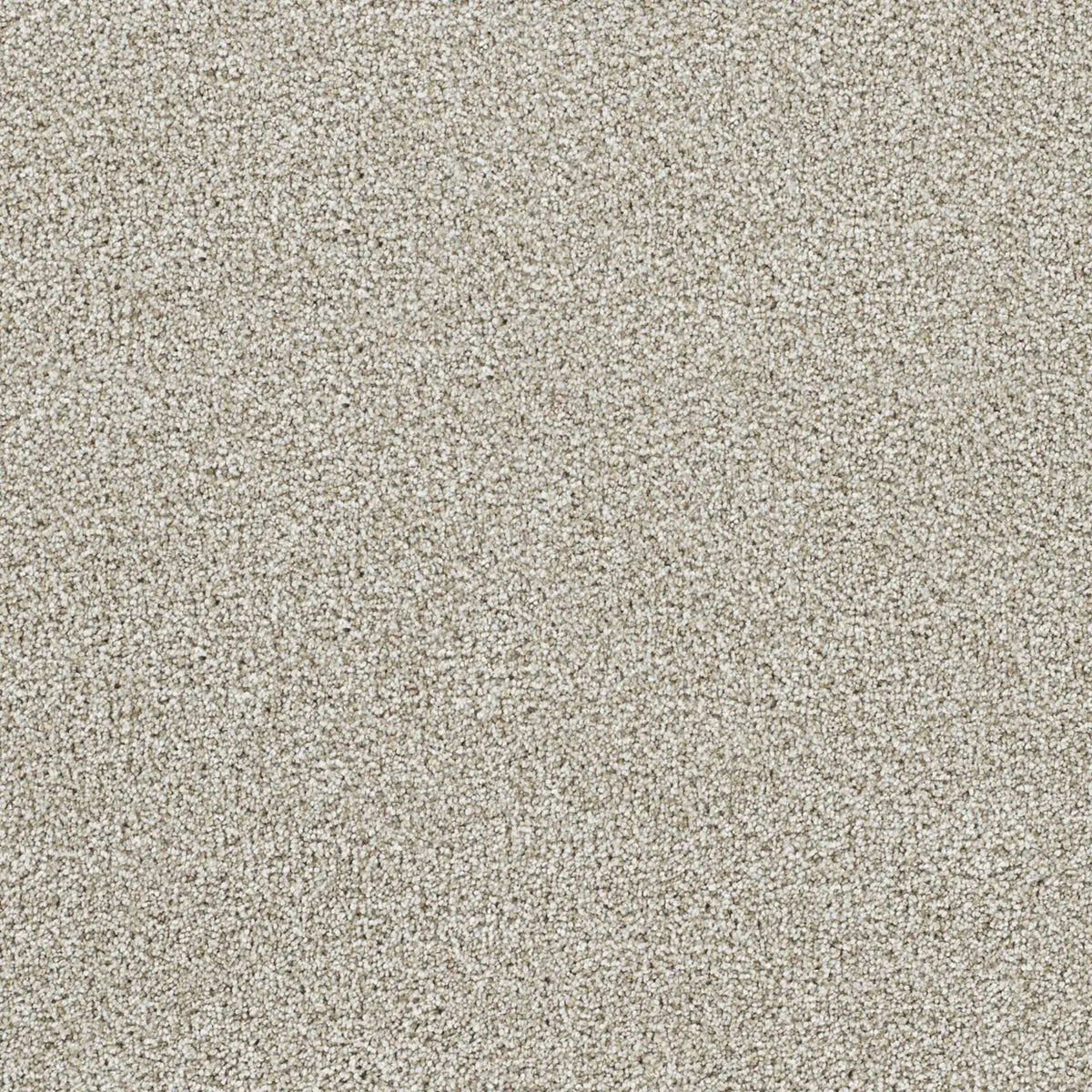 Lucky Penny I in Northlight Carpet