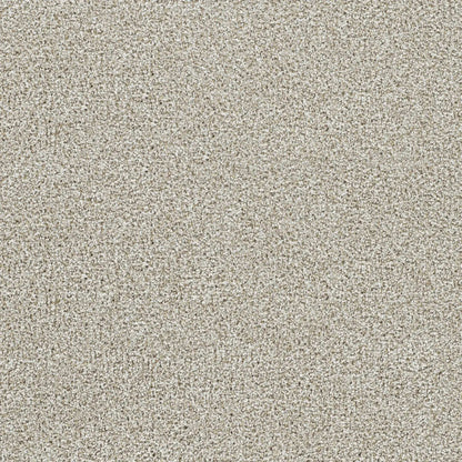 Lucky Penny I in Northlight Carpet