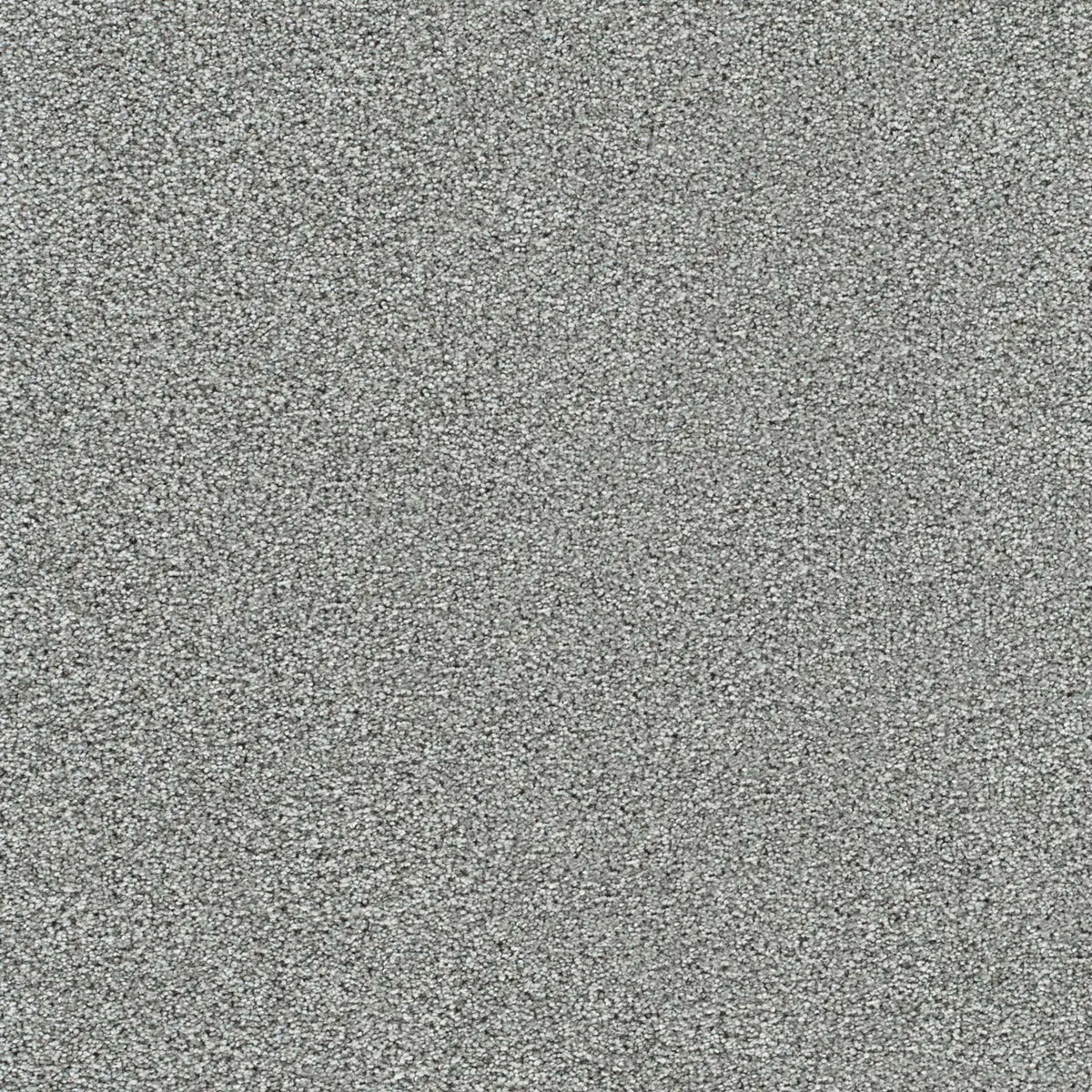 Lucky Penny II in Marcella Carpet
