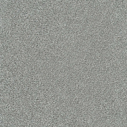 Lucky Penny II in Marcella Carpet