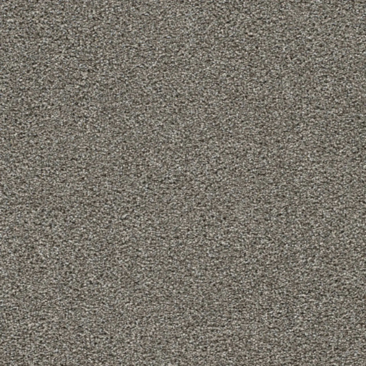 Gold Standard III in Topaz Carpet
