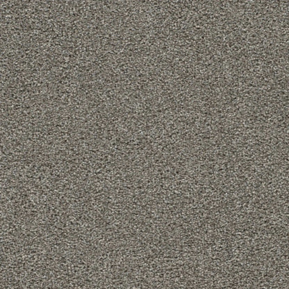 Gold Standard III in Topaz Carpet