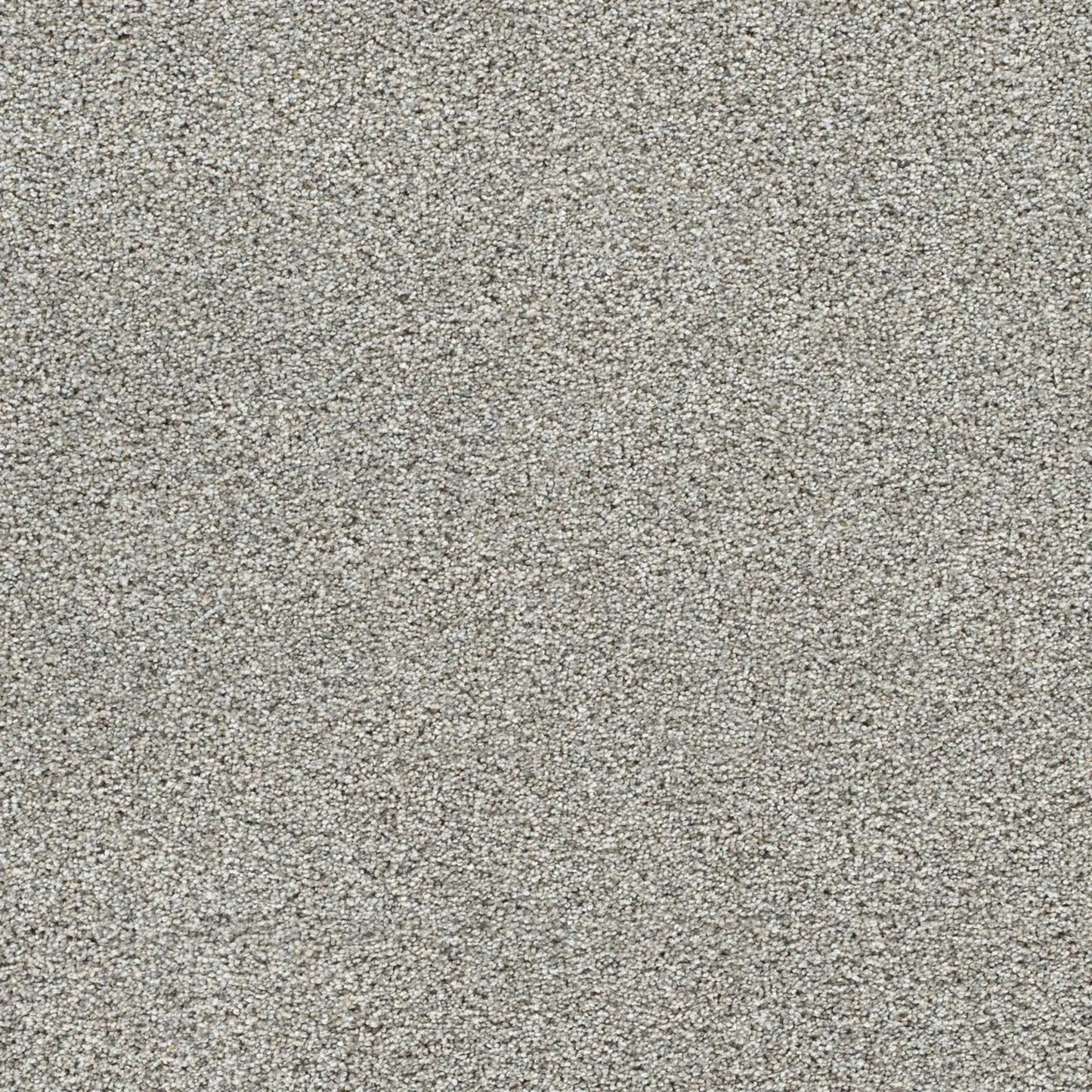 Lucky Penny III in Breakaway Carpet