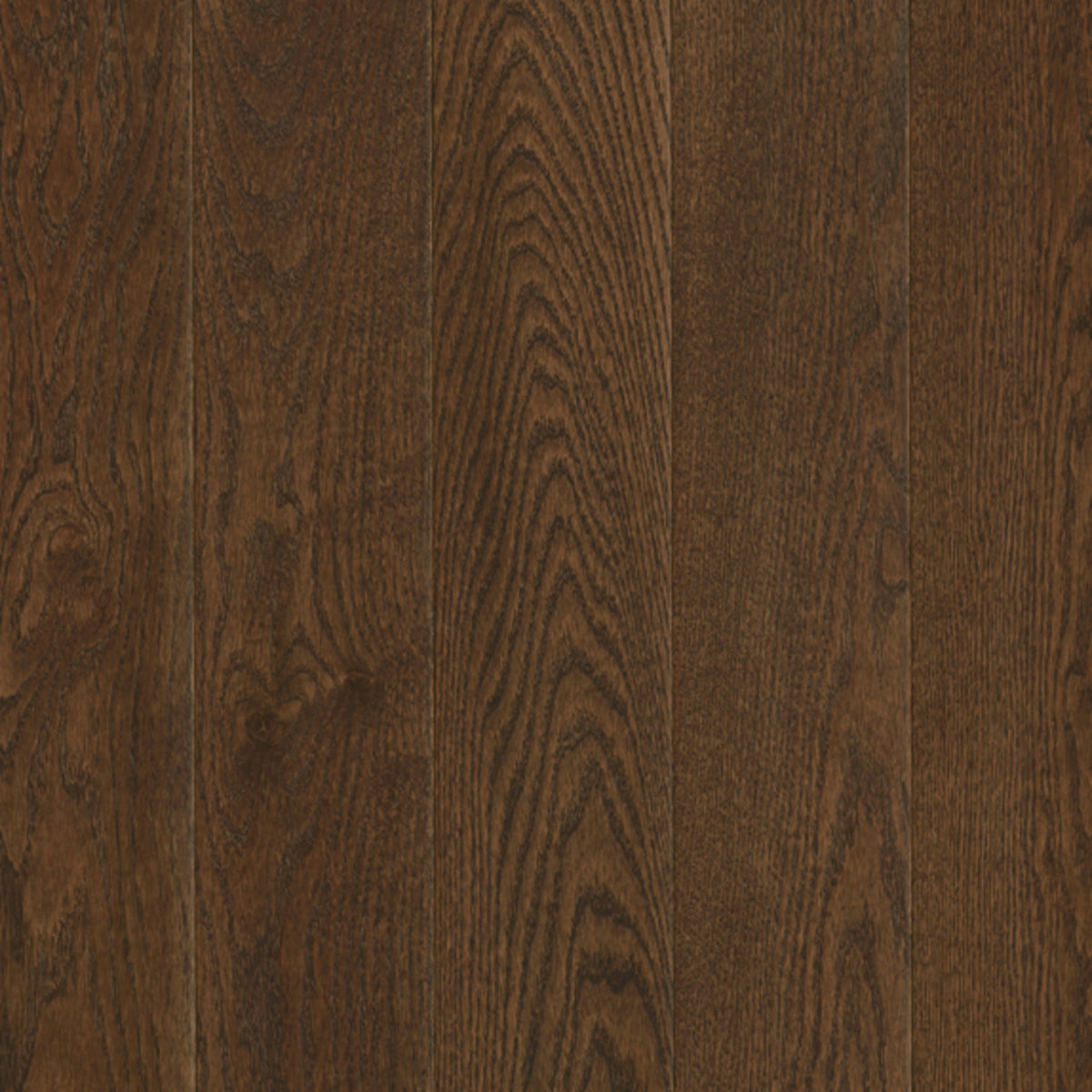 Prime Harvest Northern Red Oak Engineered in Cocoa Bean 3" Hardwood