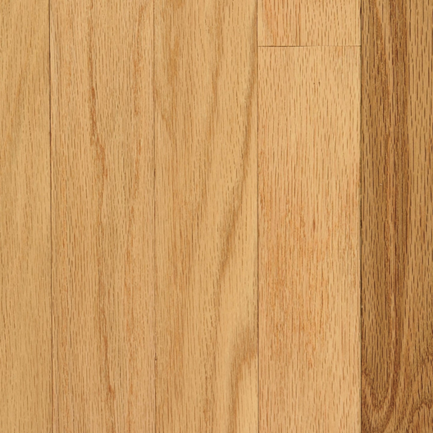Beaumont Northern Red Oak Engineered in Standard Hardwood