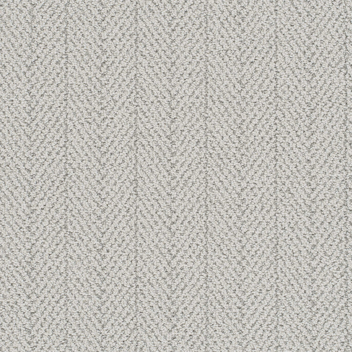 Amalfi in Nautilus          Carpet