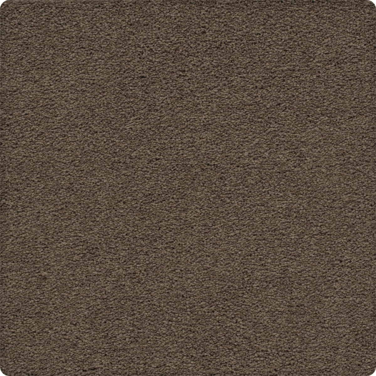 Artisan Delight in Eagle Rock Carpet