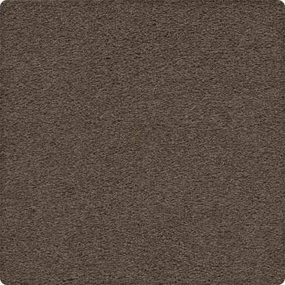 Artisan Delight in Eagle Rock Carpet