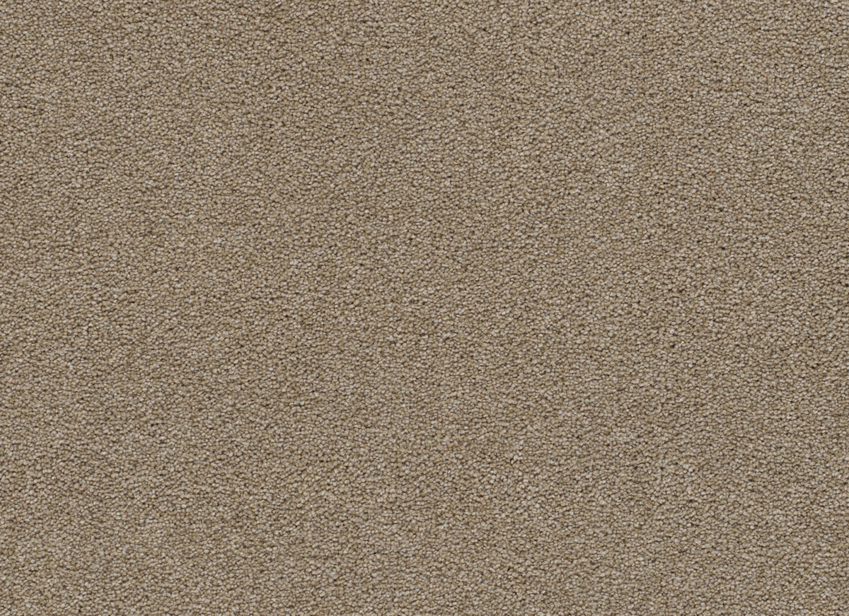 Rock Solid III