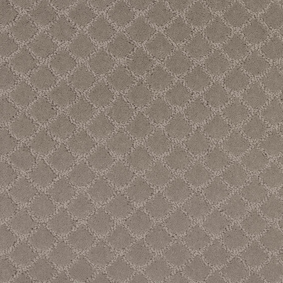 Fashion Portrait in Antique Pearl Carpet