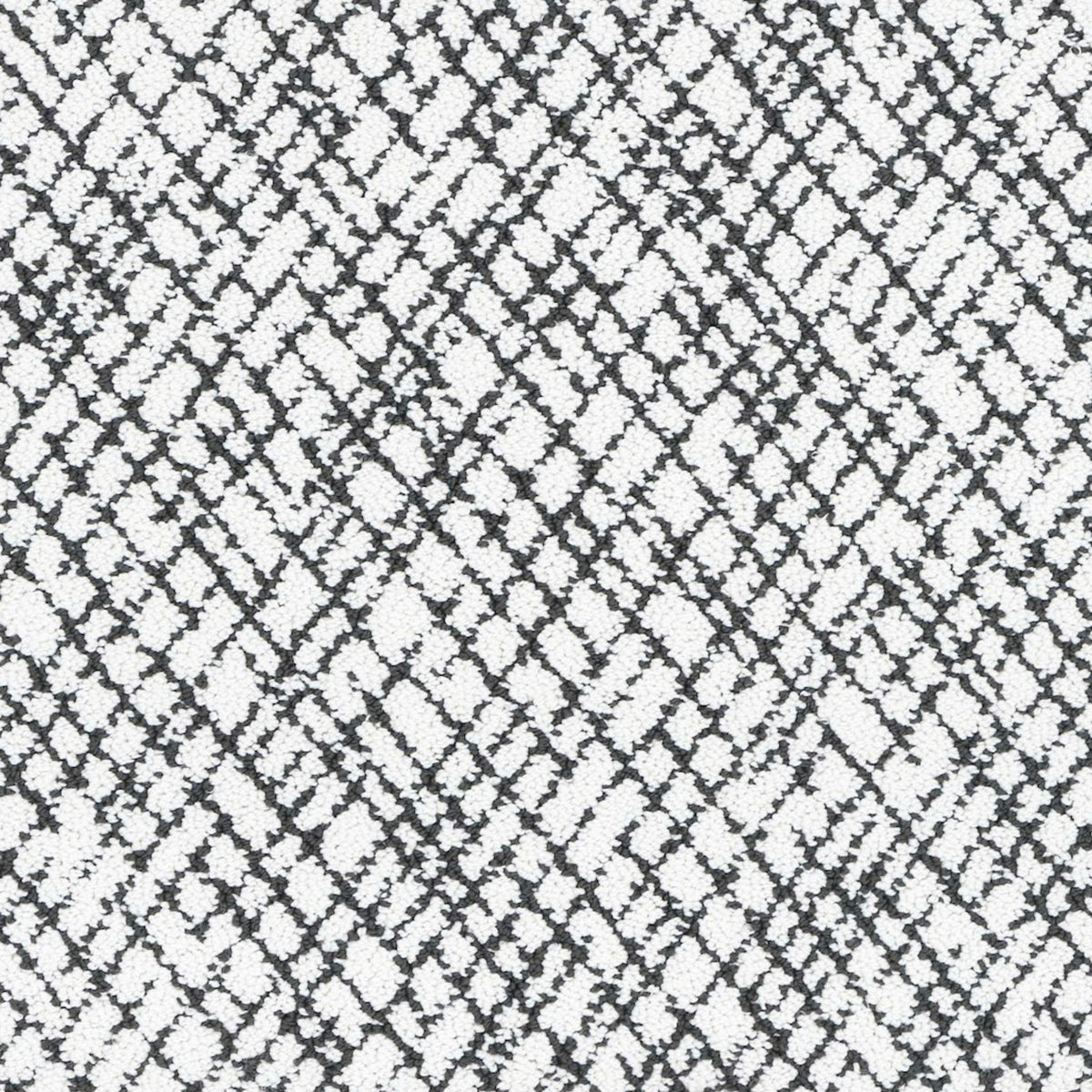 Artful Radiance in Carbon Black Carpet