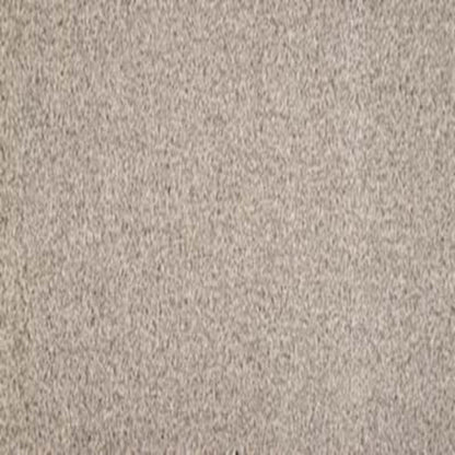 Debonair Invitation in Sophisticate Carpet