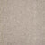 Debonair Invitation in Sophisticate Carpet