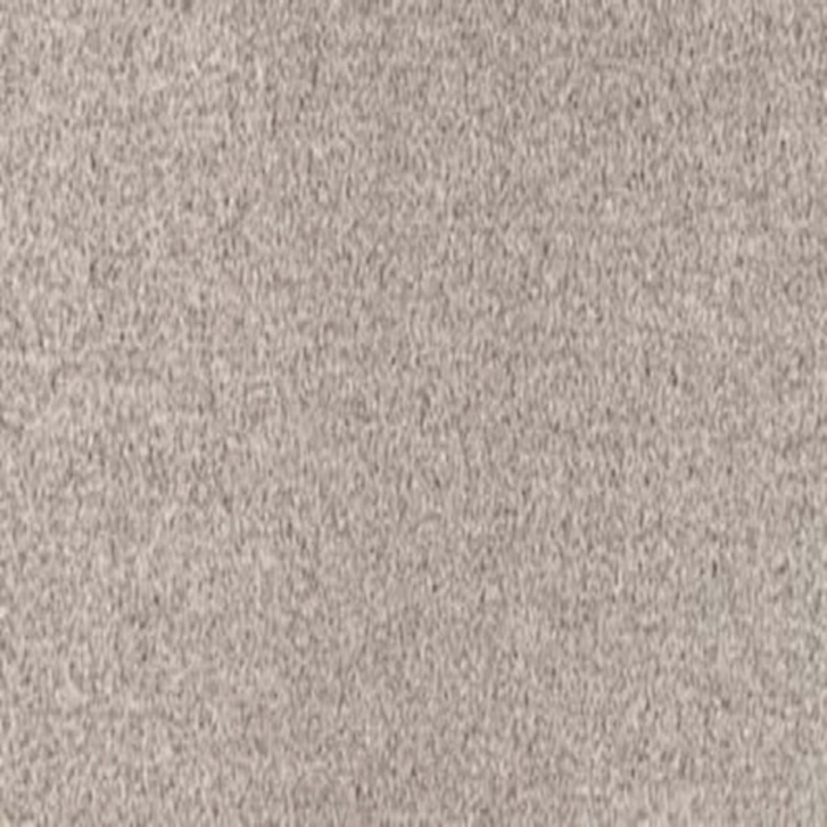 Refined Simplicity in Sophisticate Carpet