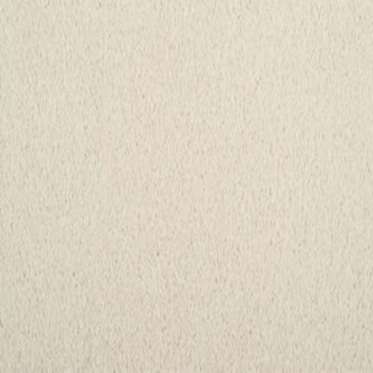 Delightful Dream in Softlights Carpet