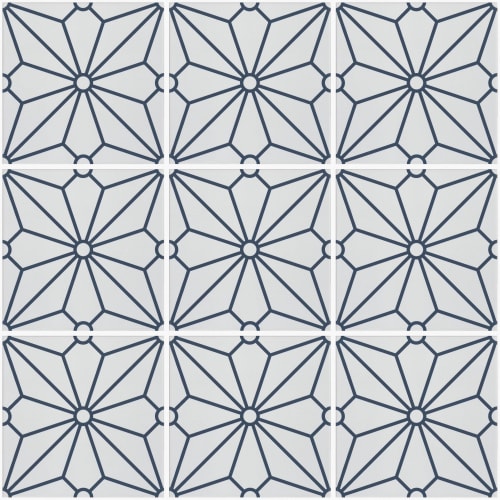 COSMOS 8X8