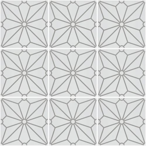 COSMOS 8X8