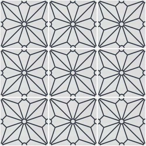COSMOS 8X8