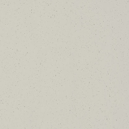 Quartz Countertop in Frozen Terra Solid Surface
