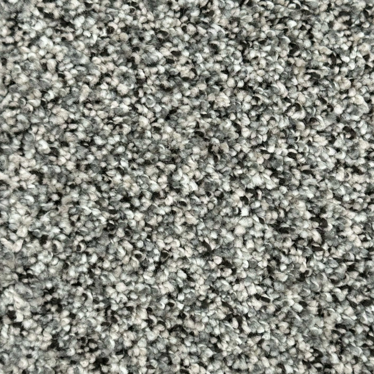 TITAN II in Crystal Downs Carpet