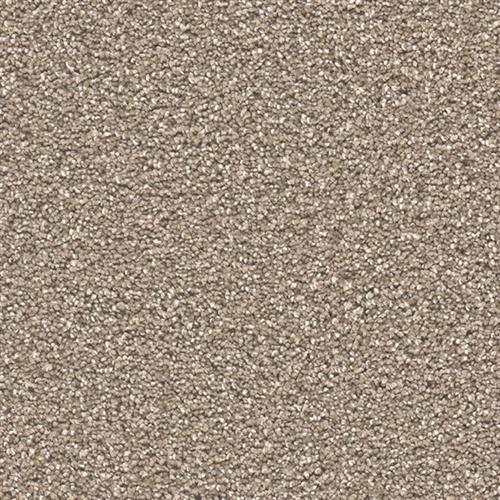 STUNNING in Acorn Carpet