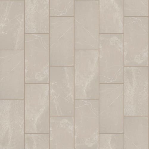 LITHIC 12X24 POL