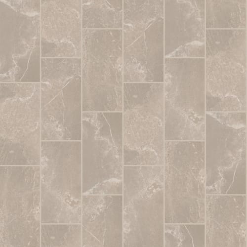 LITHIC 12X24 POL