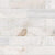 CHATEAU 2X8 BRICK