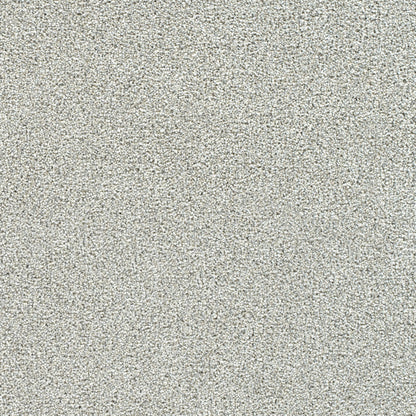 Breakview I in Cherish Carpet