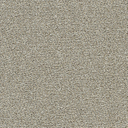 BREAKVIEW II in Gingerbread Carpet
