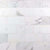 Calacatta in Calacatta 4x8 Natural Stone