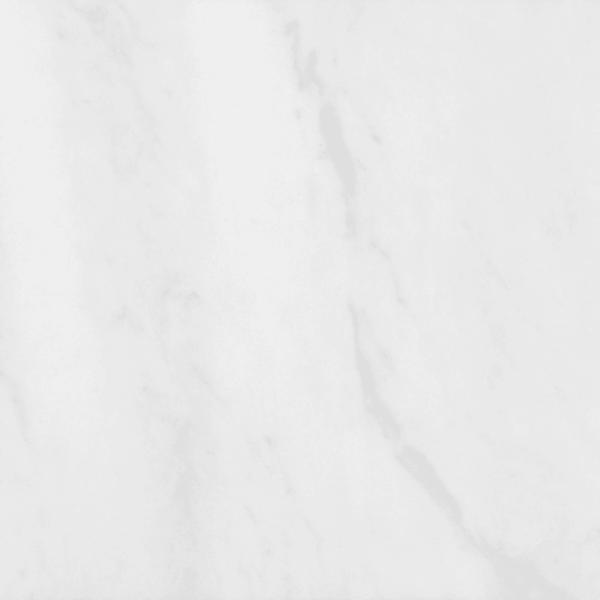 Bianco Venatino in Honed 12x12 Natural Stone
