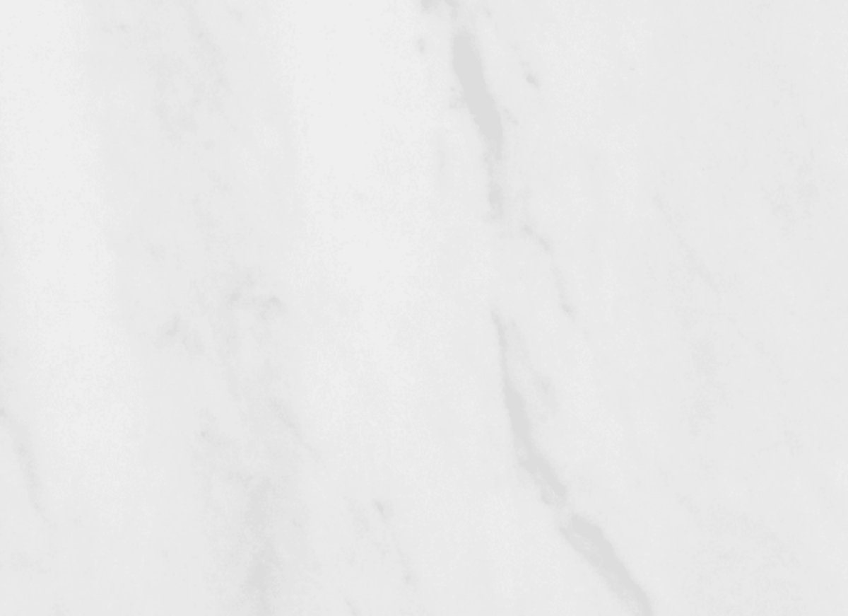 Bianco Venatino in Honed 12x12