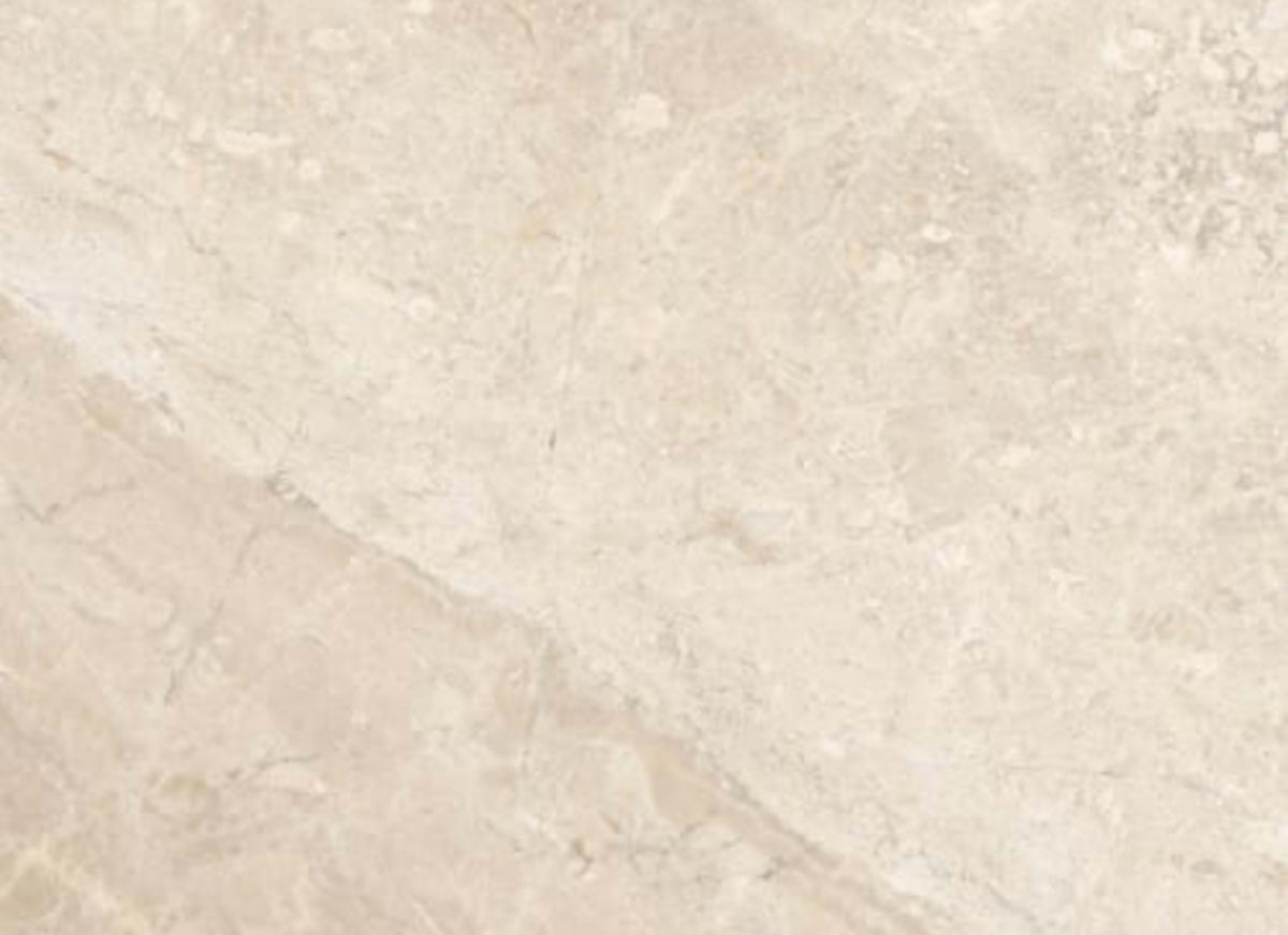 Impero Reale in Honed 12x12