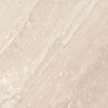 Impero Reale in Honed 12x24 Natural Stone