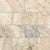 Picasso in Filled & Honed 3x6 Natural Stone