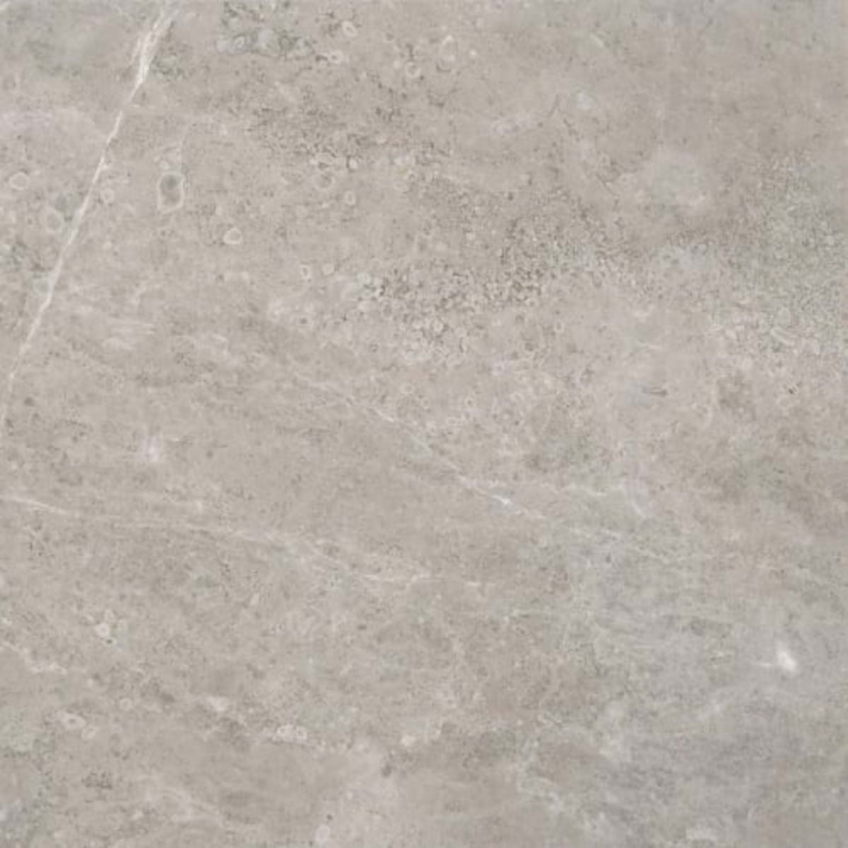 Ritz Gray in Polished 12x12 Natural Stone