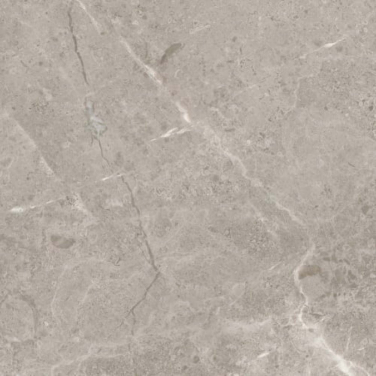 Ritz Gray in Polished 12x24 Natural Stone
