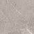 Ritz Gray in Polished 12x24 Natural Stone