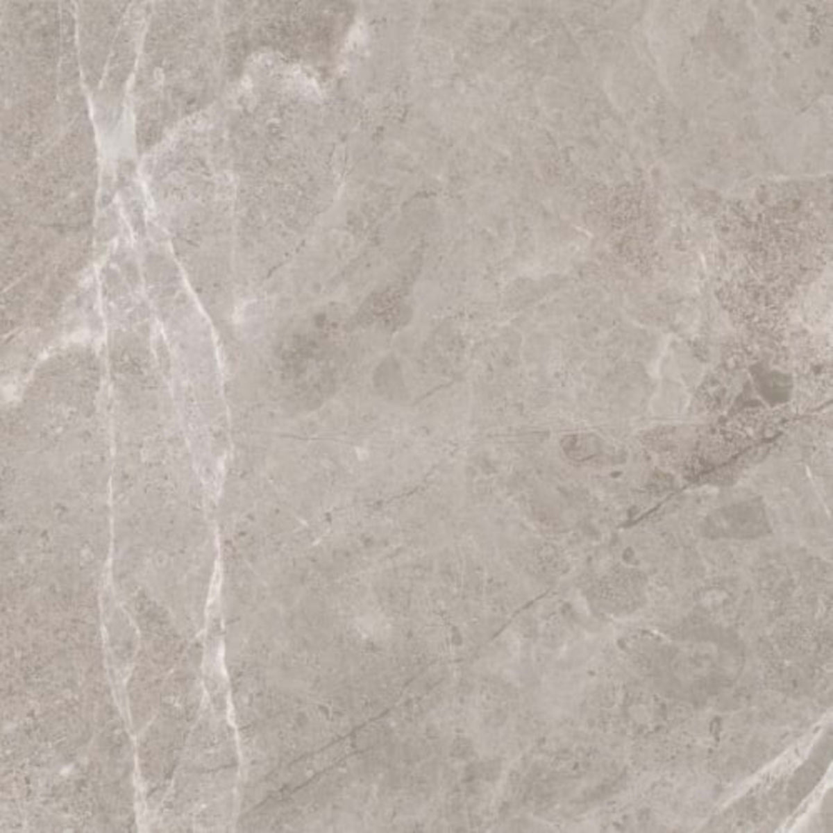 Ritz Gray in Polished 18x36 Natural Stone