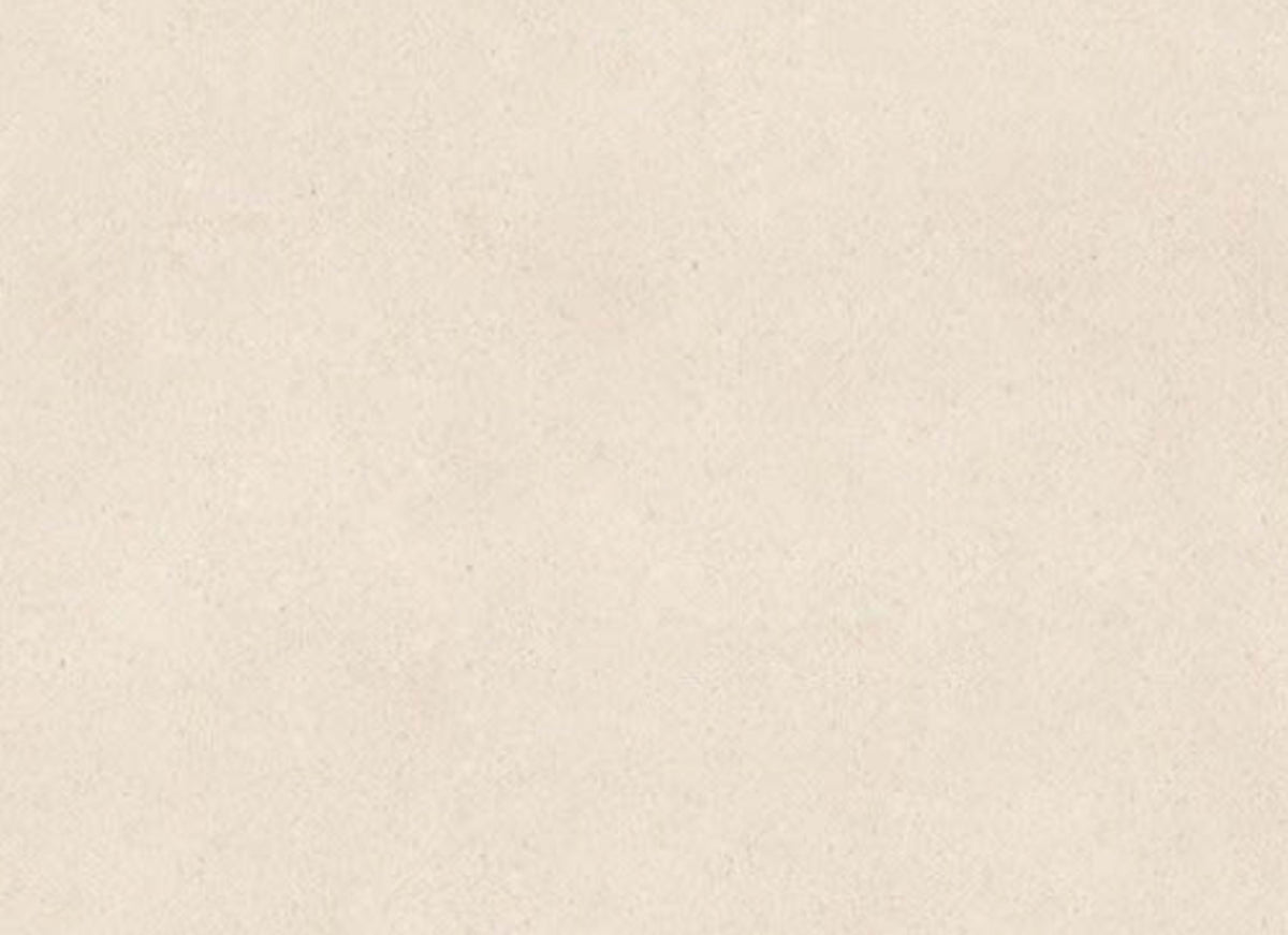 Serene Ivory in Honed 18x36