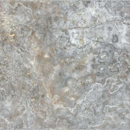 Silver Ash in Chiseled & Brushed 16x24 Natural Stone