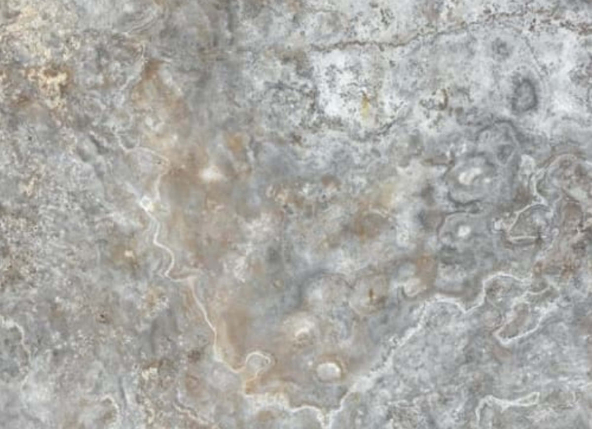Silver Ash in Chiseled & Brushed 16x24