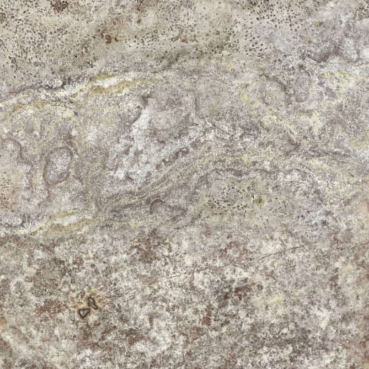Silver Ash in Filled & Honed Crosscut 18x18 Natural Stone