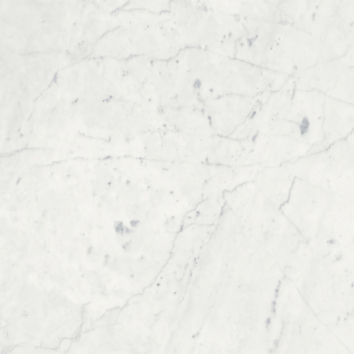 Eterna Bianco in Polished 18x36 Natural Stone