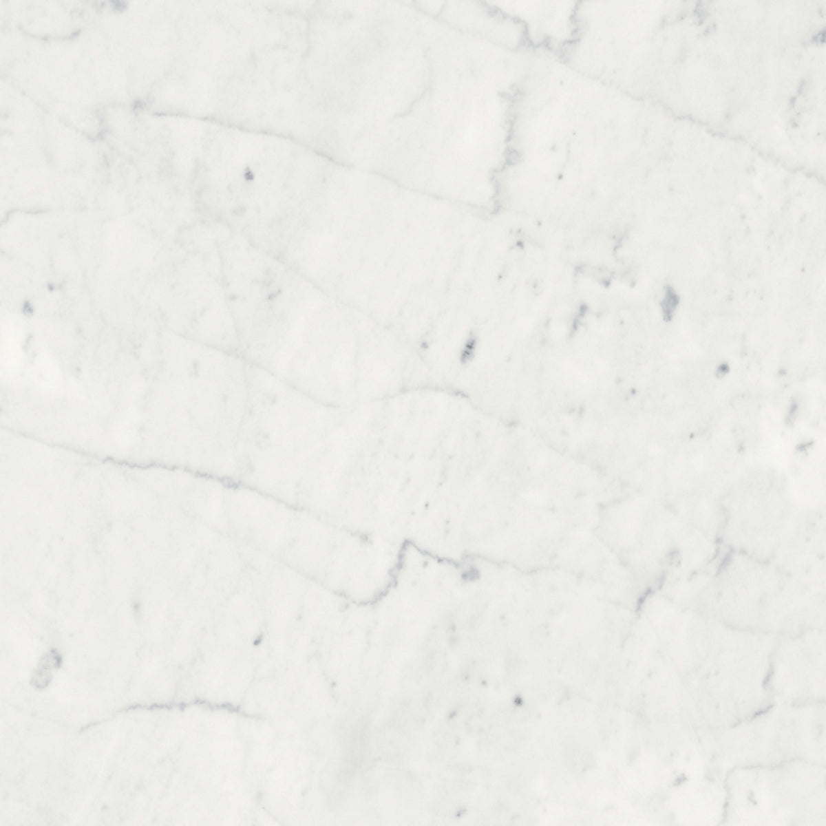 Eterna Bianco in Polished 12x24 Natural Stone
