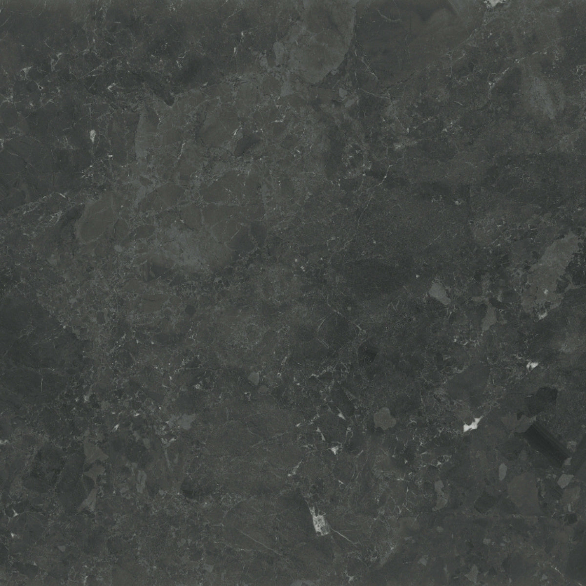 Galaxia Nero in Polished 18x36 Natural Stone