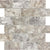 Silver Ash in 2x4 In Honed Crosscut Natural Stone